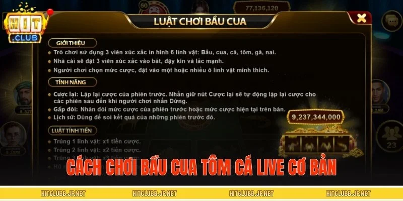 Cách chơi cơ bản mà bạn mới cần nắm chắc trước khi vào tiền